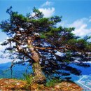 대풍민박 이미지