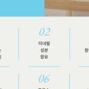 강아지공작소 이미지