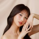 신사의원 이미지