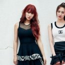 (유)다솜