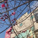 참우양곱창 수성점 이미지