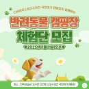 오수펫하우스 이미지