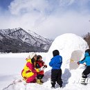 힐링고기뷔페