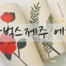 메이리네일