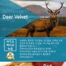 오케이바이오 이미지