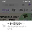 모야모