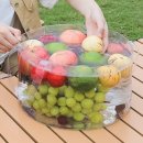 대야로-L 이미지