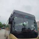 힐 렌터카 | 다낭 렌터카 이용 후기 | 다낭 자유여행 필수 이동 방법