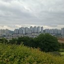 다온숲 티스토리