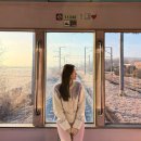 백두대간 | 코레일 기차여행 백두대간협곡열차 탑승 후기 (영주 - 분천 - 철암)