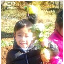 코코농원 이미지