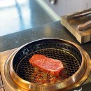 본앤우480 이미지