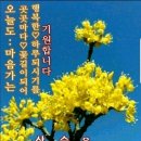 당신이 있어 좋은세상 이미지