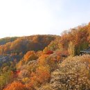 더스터닝-2 이미지