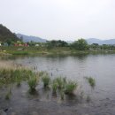 섬진강(순천) 이미지