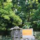 도쿄마츠리 이미지