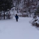 생거진천자연휴양림 이미지