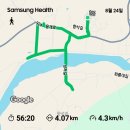 만보인증♡컨디션조절12,035보9.15km 이미지