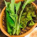 참숯화로왕갈비 이미지