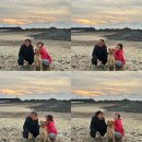 애봉이네 | 태안 대형견 동반 애견 동반 숙소 애봉이네 펜션 숙박 후기