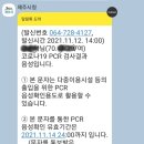 가성비&amp;가심비 좋은 제주 새마을금고 연수원(호텔동 이용후기)