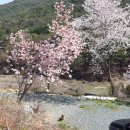 뒤뜰농장 이미지