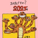 지브이오스튜디오