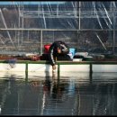 내촌낚시터 이미지