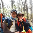 상관편백숲길 이미지