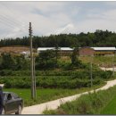 큰들축산 이미지