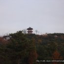 배산체육공원 농구장 이미지