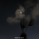 바다의도시 이미지