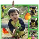 병관농장 이미지