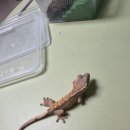 다사랑펜션 | 2025년 3분기 일상글 간만에 방문한 군산과 괴산