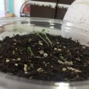 애니몰하우스 이미지