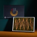 뿌리 - 안동시 번영길 27 | 뿌리