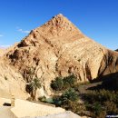 카오아시스 이미지