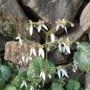 송촌2리 마을회관 이미지