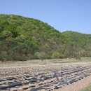 큰빛웅촌병원 이미지