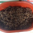 부춘농장 이미지