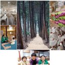 오래된 나무와 좋은 친구 맺기 생생한 목재 체험학습장 전라남도 장흥 목공예센터 이미지