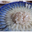 은아네 맛집 이미지