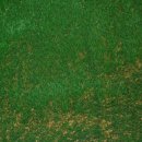 용하운동장 이미지