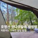 가평 호명산 잣나무 숲속 캠핑장에서 백패킹 예약방법 후기