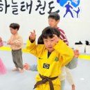 안성 바른태권도장 이미지