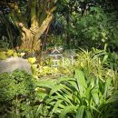 거북찻집 | 🚶‍♂️ 부천 뚜벅이 여행 I 부천 수피아, 동양찻집 카페 다녀온 후기