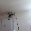성정현대아파트 이미지
