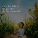 다울 이미지