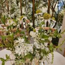 시청 앞 국민연금 맞은편 교통섬 | ●　8월의 일상 :: 부산 연제구 시청역 W웨딩 국민연금웨딩홀 하객 방문기