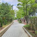 선운초교 이미지